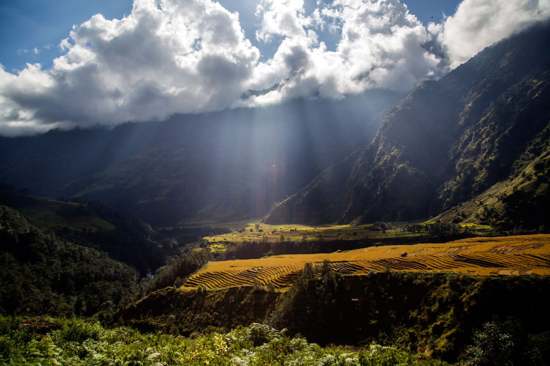 NEPAL_HONEY_LUFTHANSA_2014_10_16_30766
