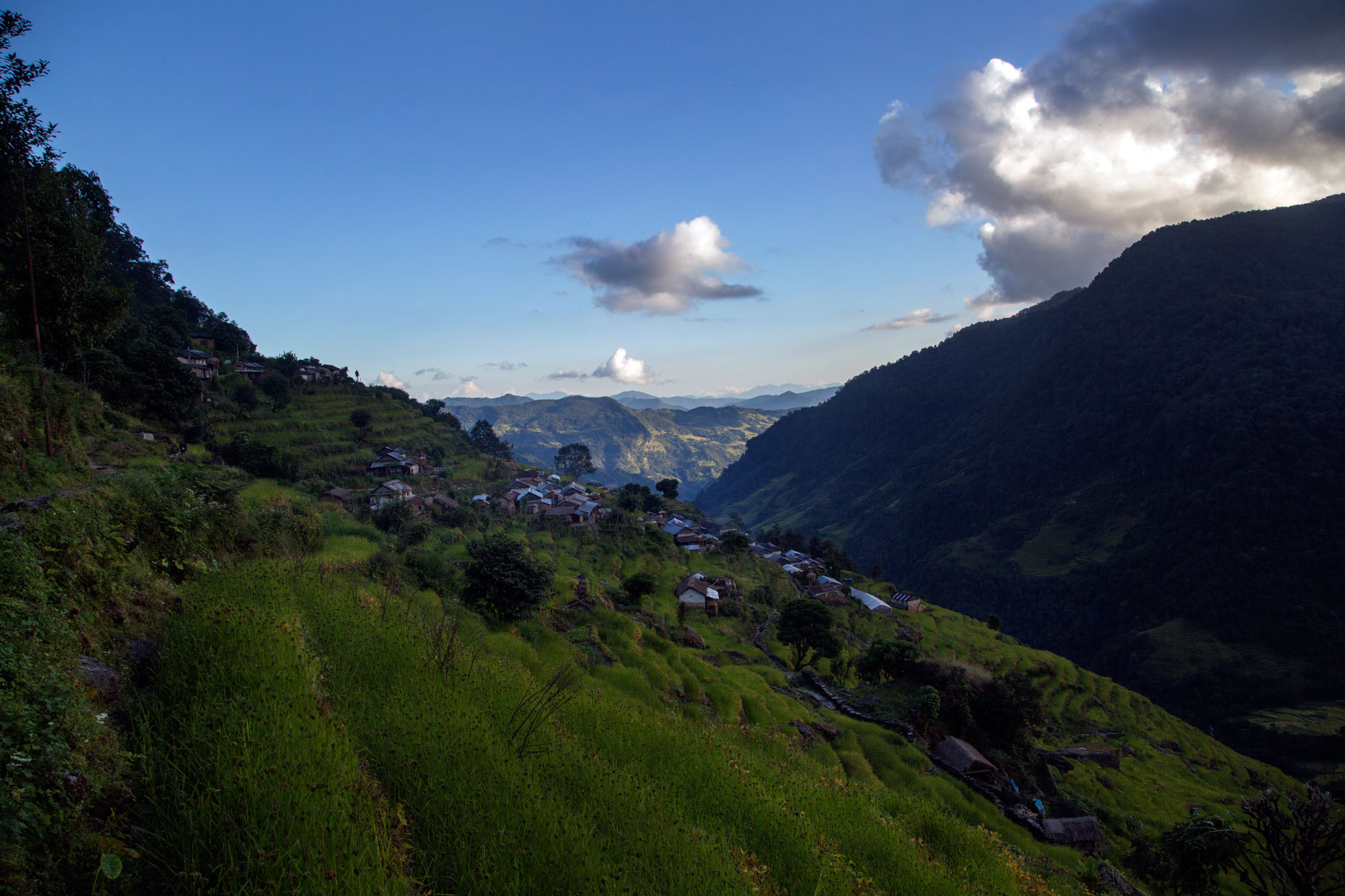 NEPAL_HONEY_LUFTHANSA_2014_10_16_30898